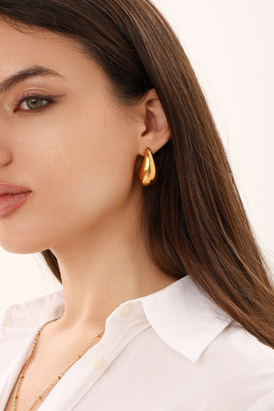 Dana chunky earrings