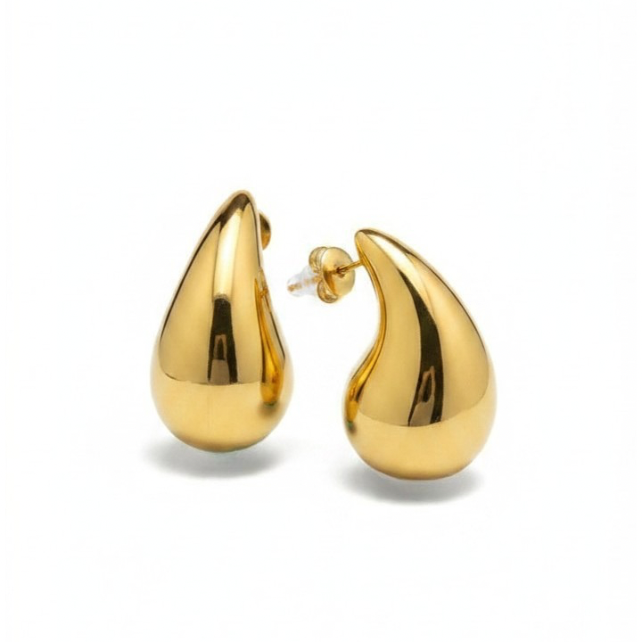 Dana chunky earrings