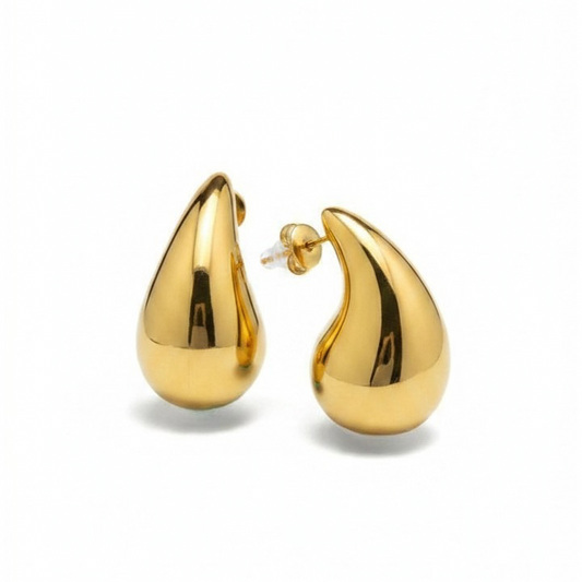 Dana chunky earrings